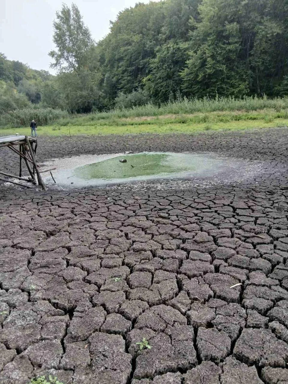 Маловоддя на річках Львівщини до кінця жовтня 2026: прогноз і рекомендації