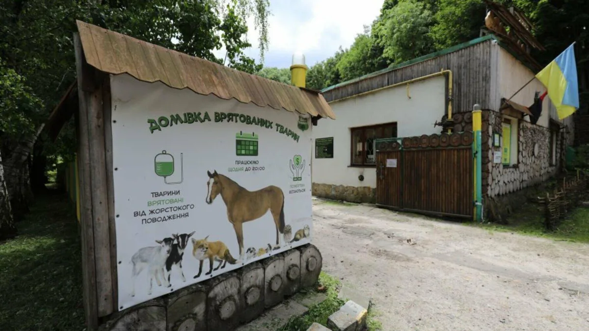 Базар добра у Львові 2026: як допомогти тваринам на благодійному фестивалі