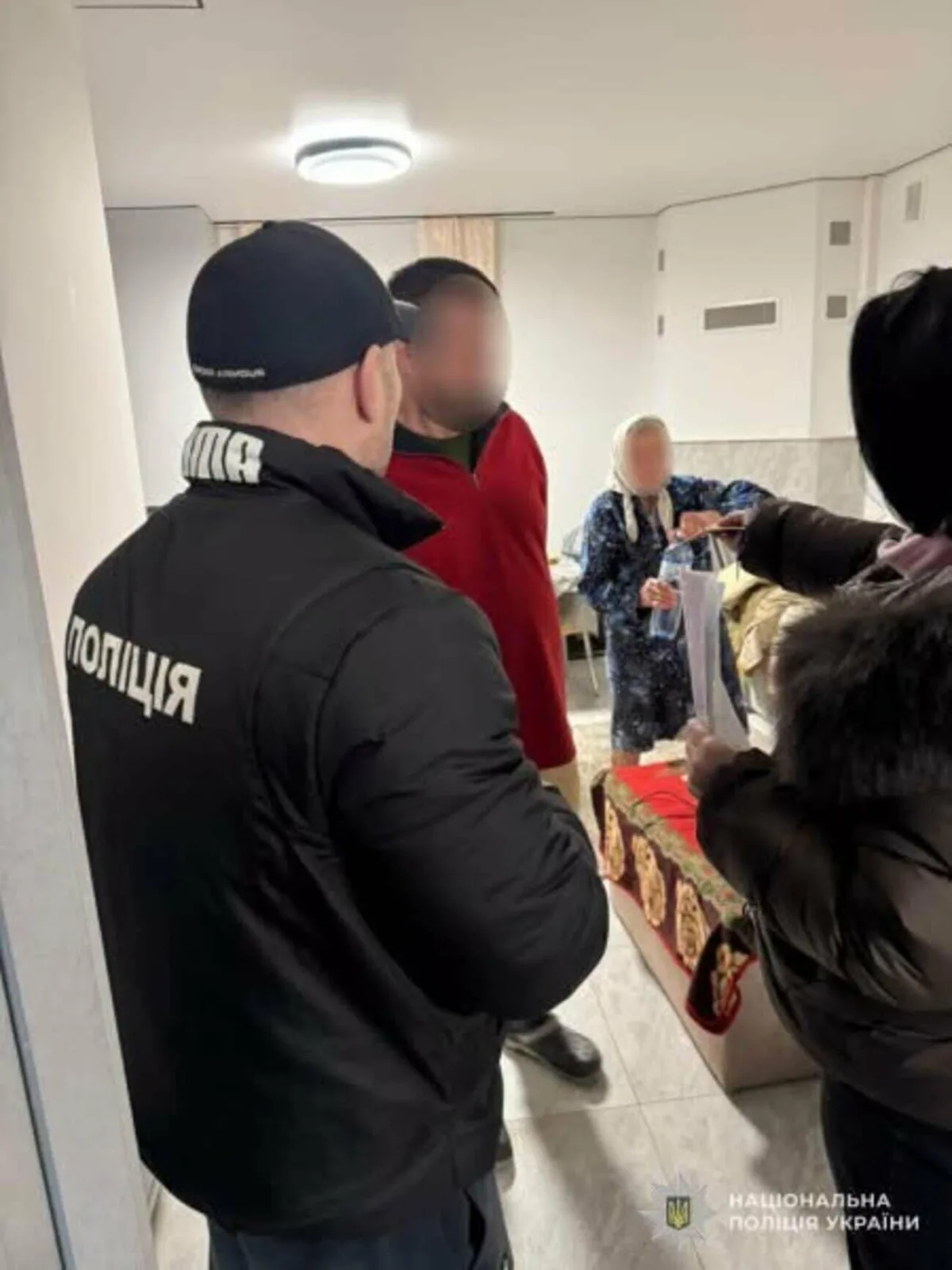 Незаконна вирубка лісу на Львівщині: як покарають лісничого за 27 дерев