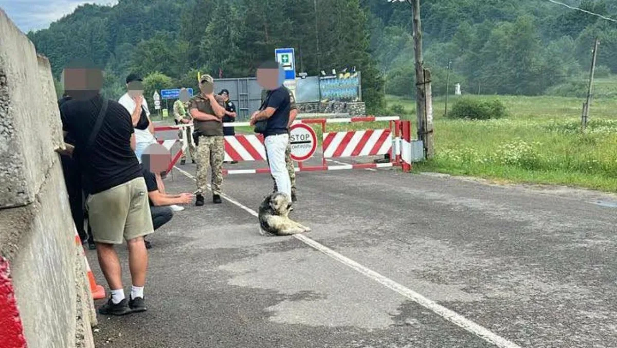 Затримання майора Нацгвардії: як виявляють схеми незаконного вивезення